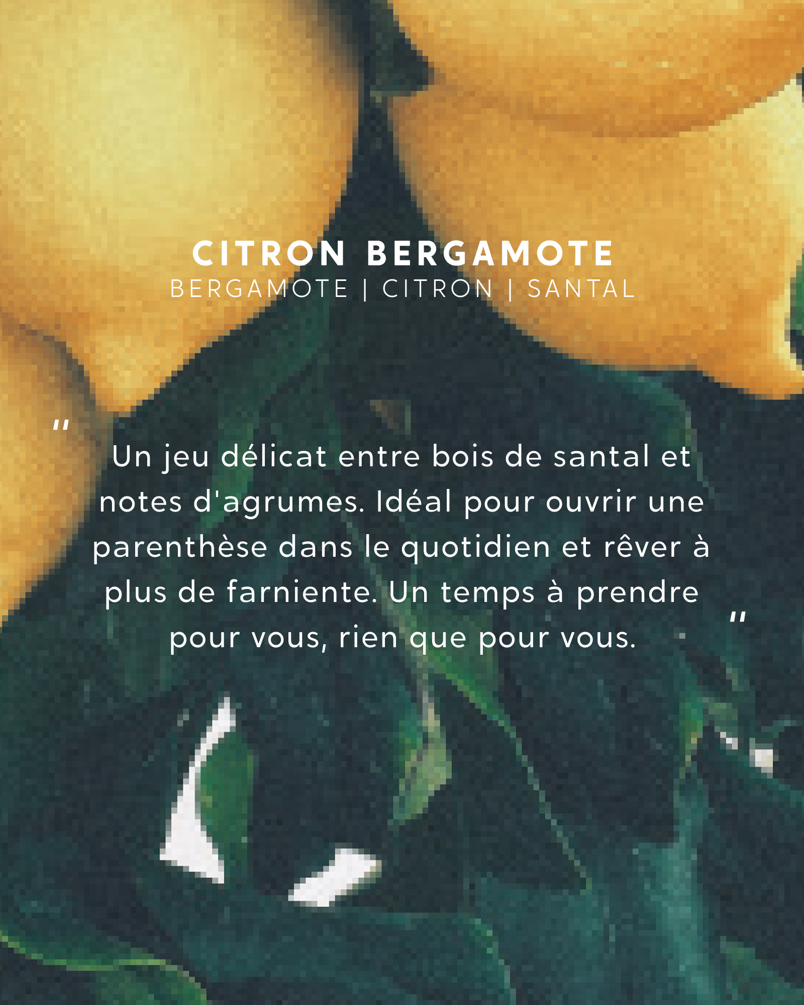Bâtonnets parfumés Citron Bergamote