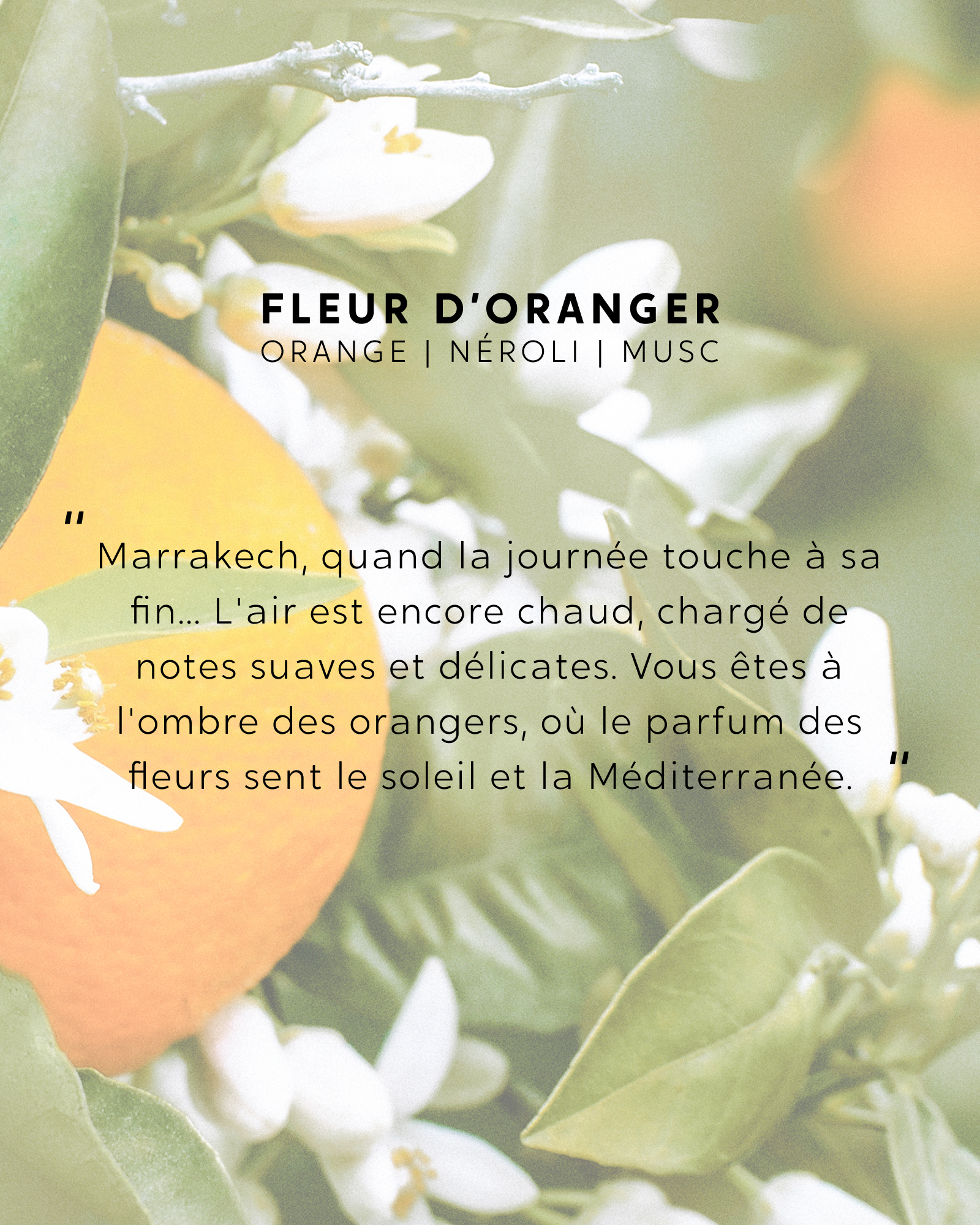 Brume parfumée Fleur d'Oranger