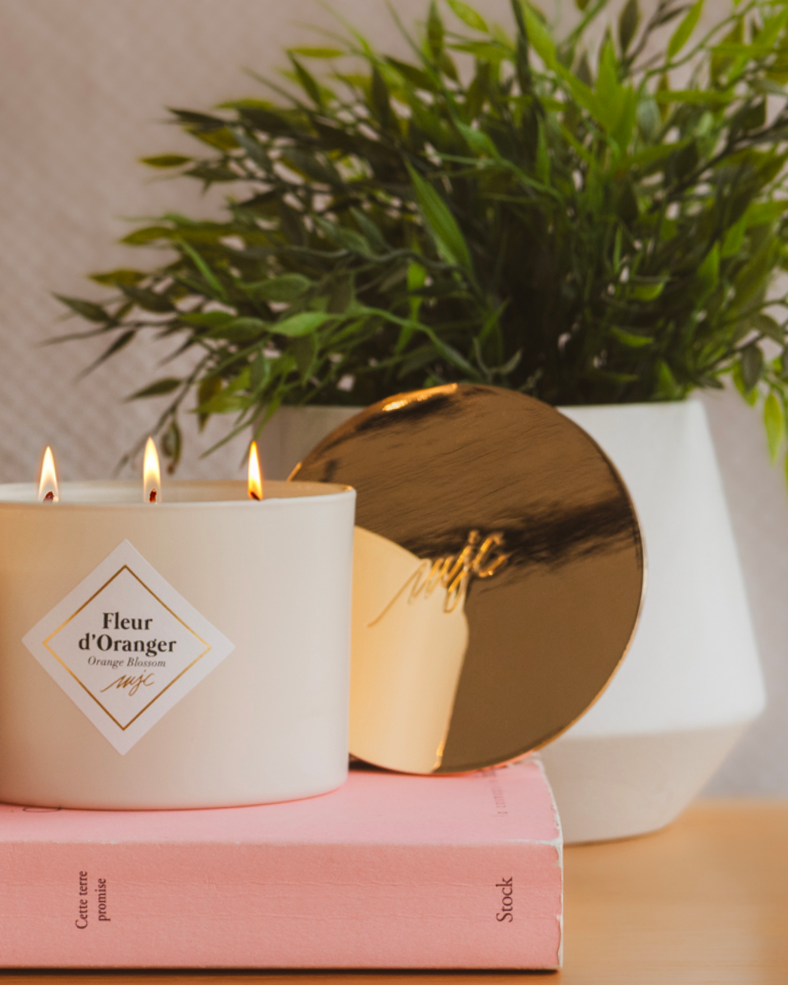 Capot gold • Bougies 3 mèches