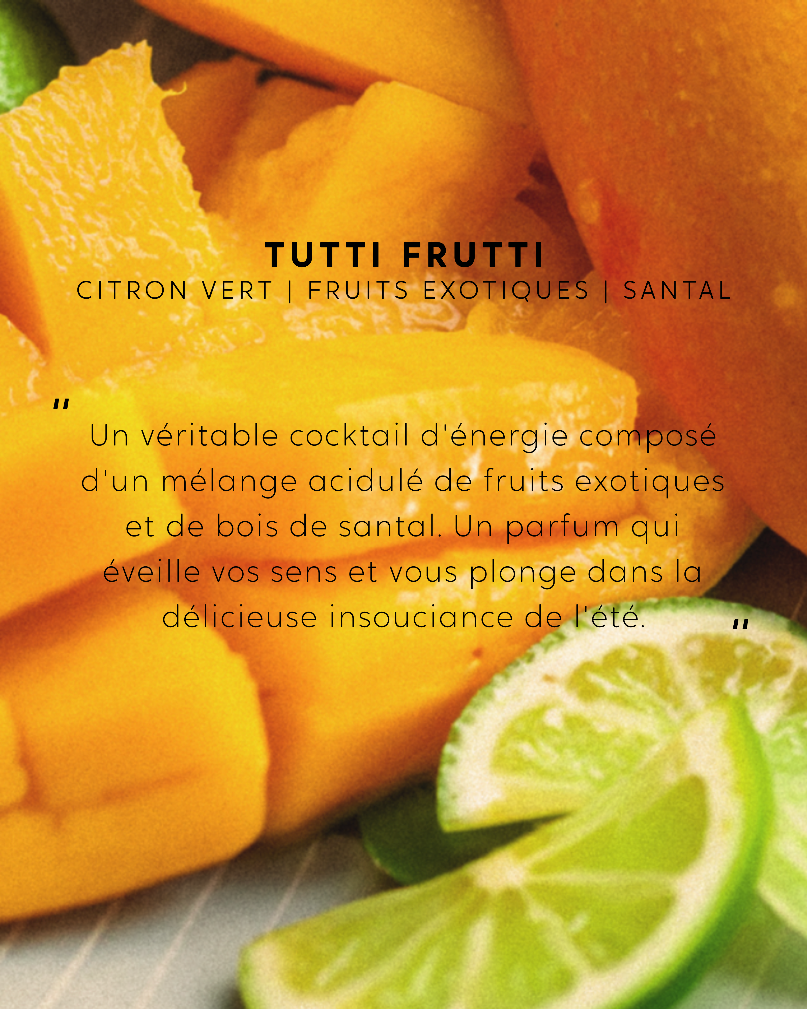Recharge Tutti Frutti et brins