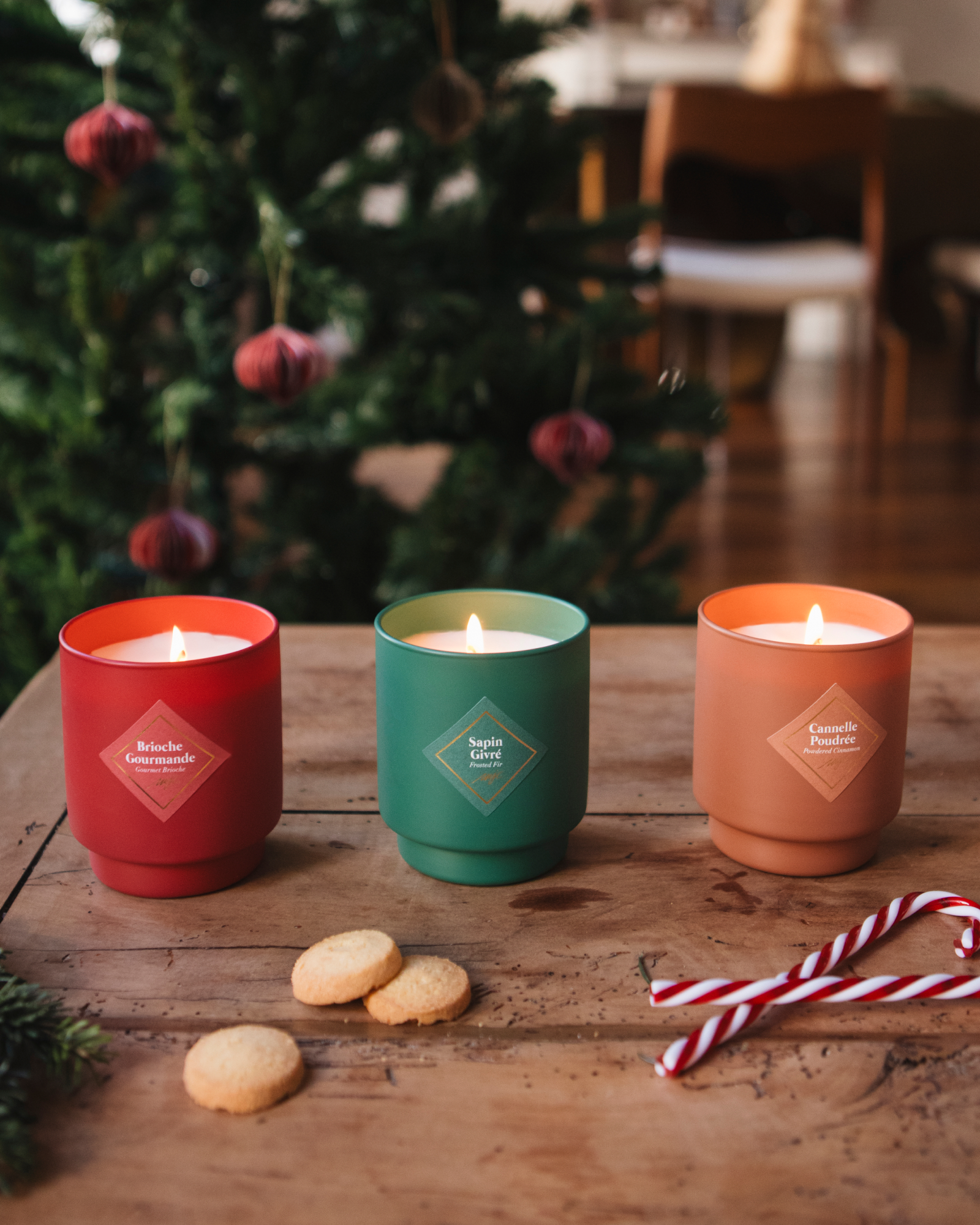 Bougie Sapin Givré