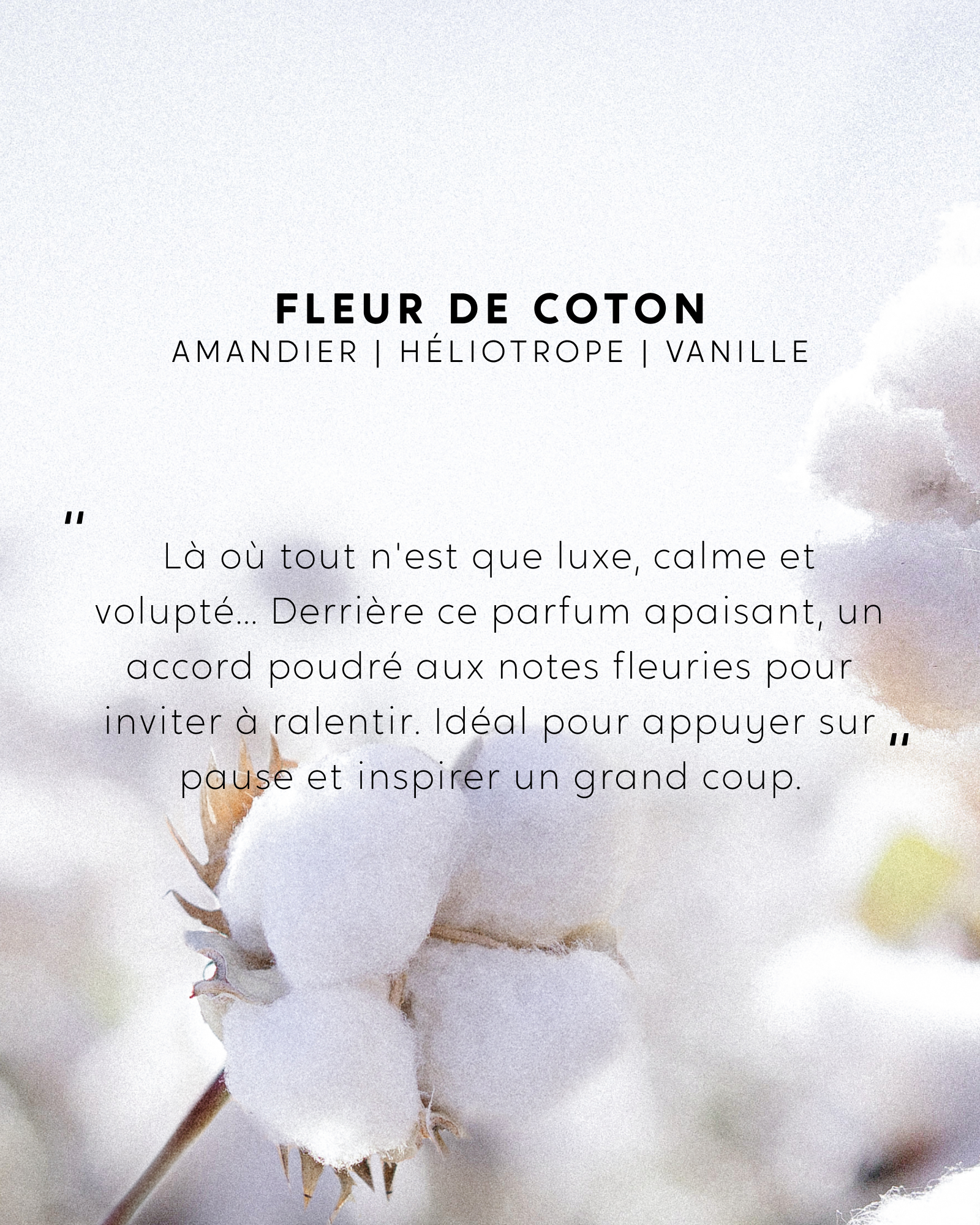 Petite bougie Fleur de Coton