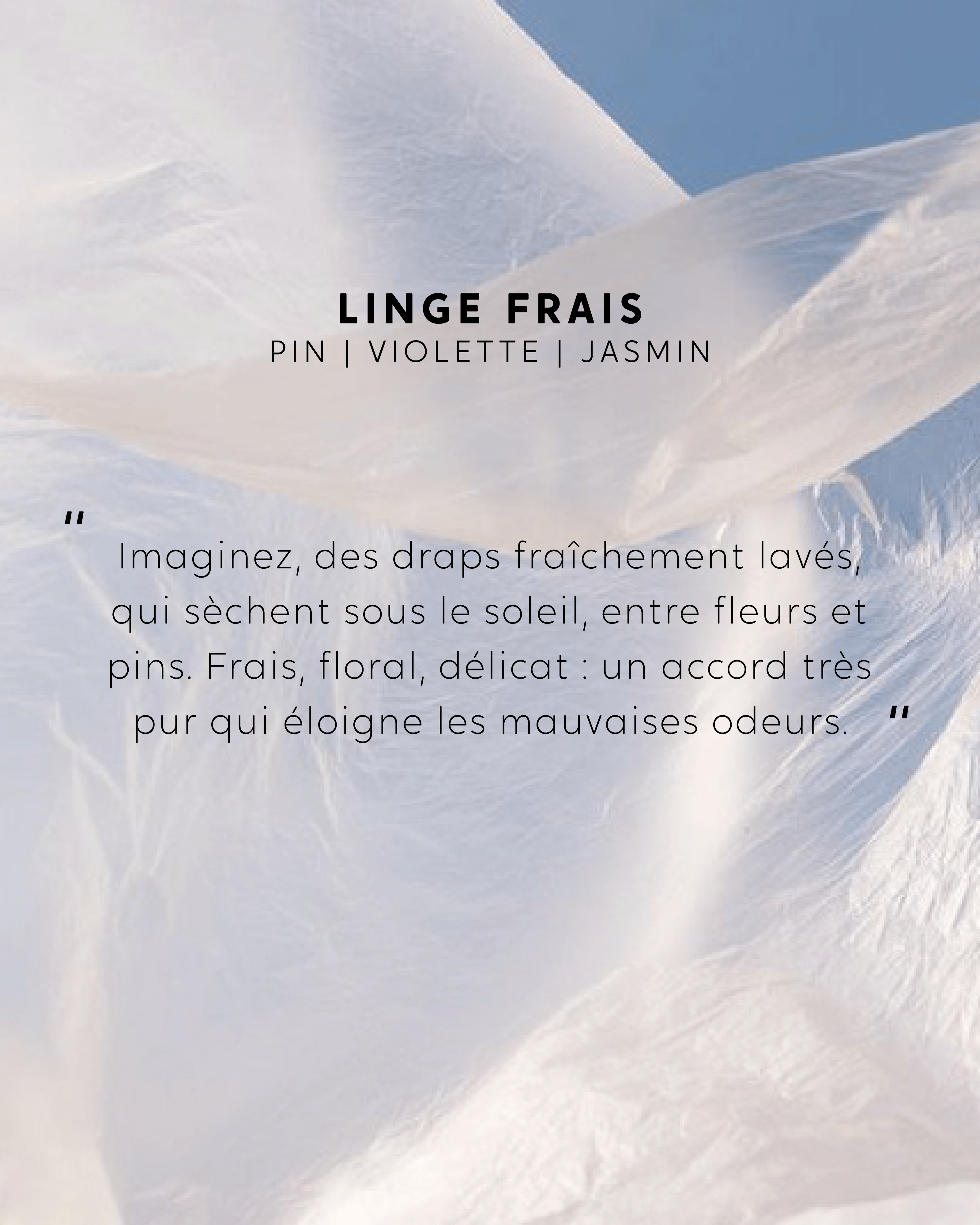 Recharge bouquet Linge Frais