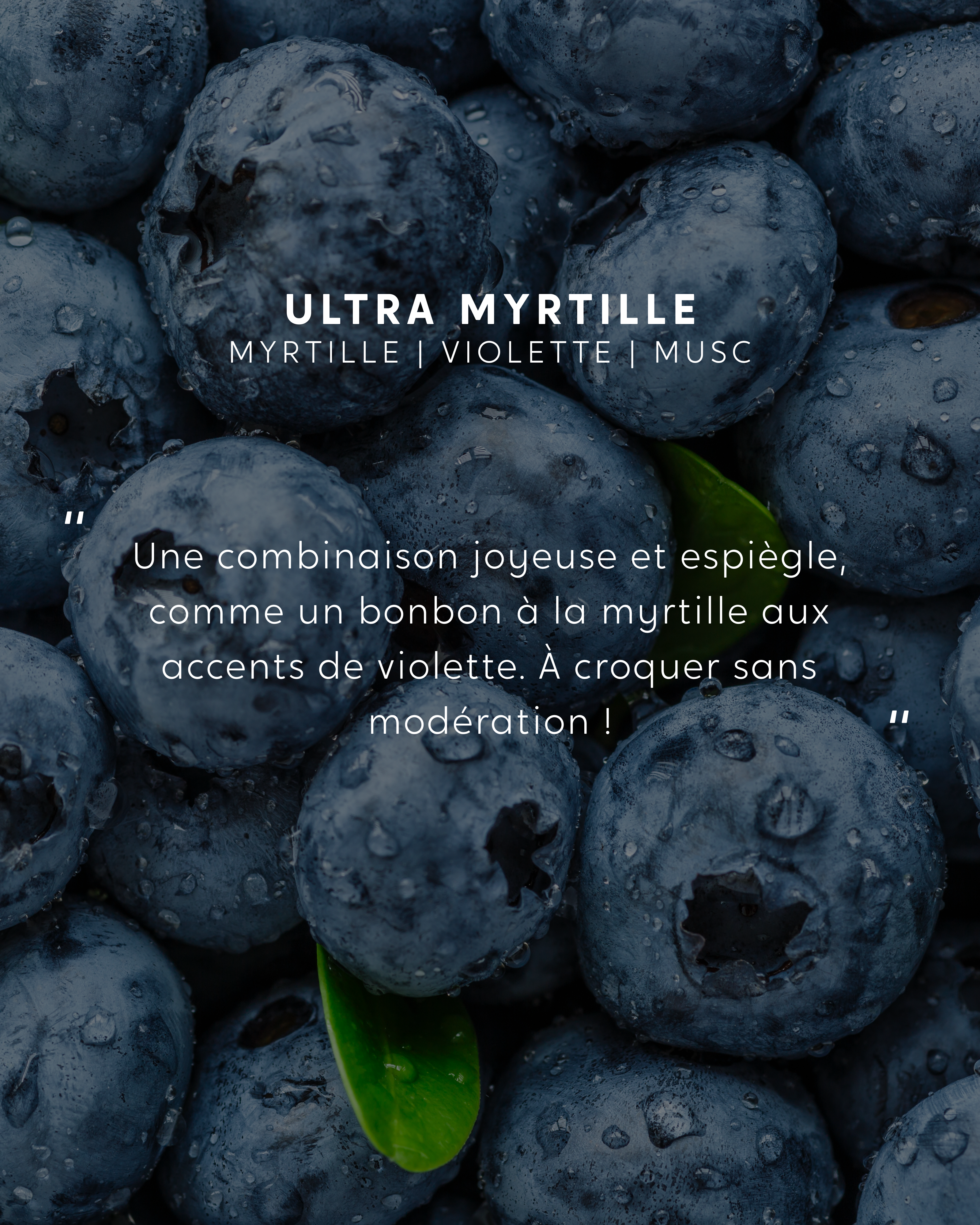 Recharge bouquet Ultra Myrtille