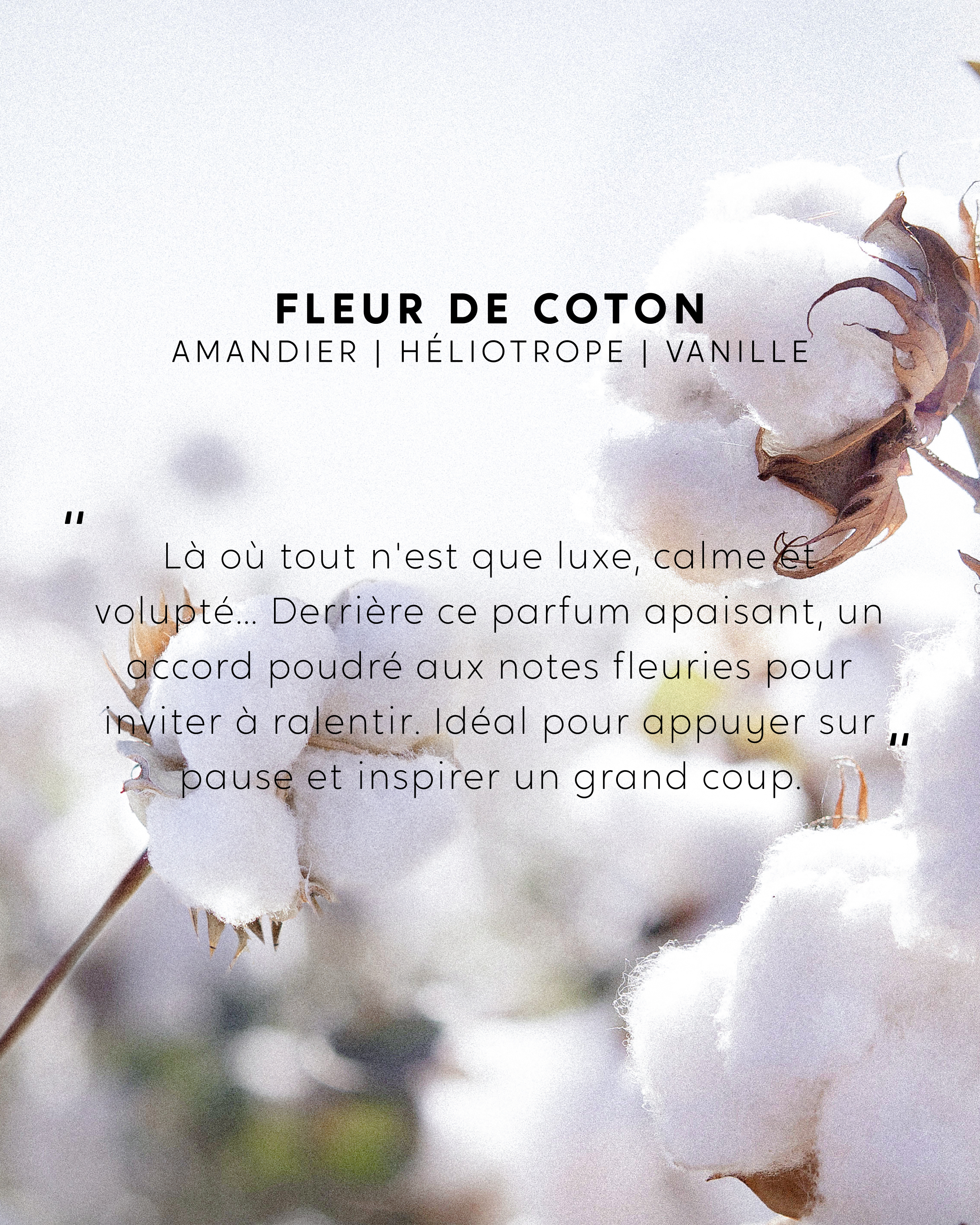 Bouquet parfumé Fleur de Coton
