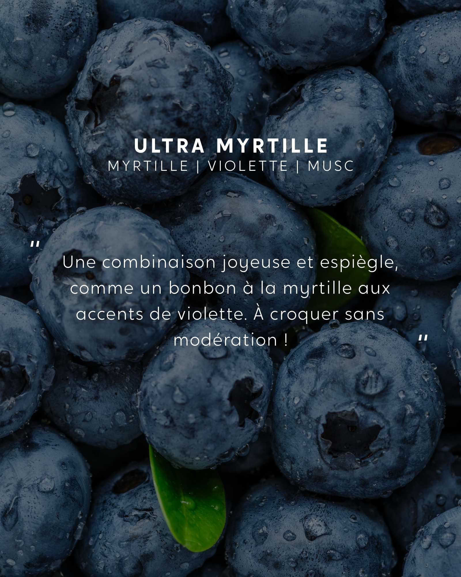 Bougie Ultra Myrtille