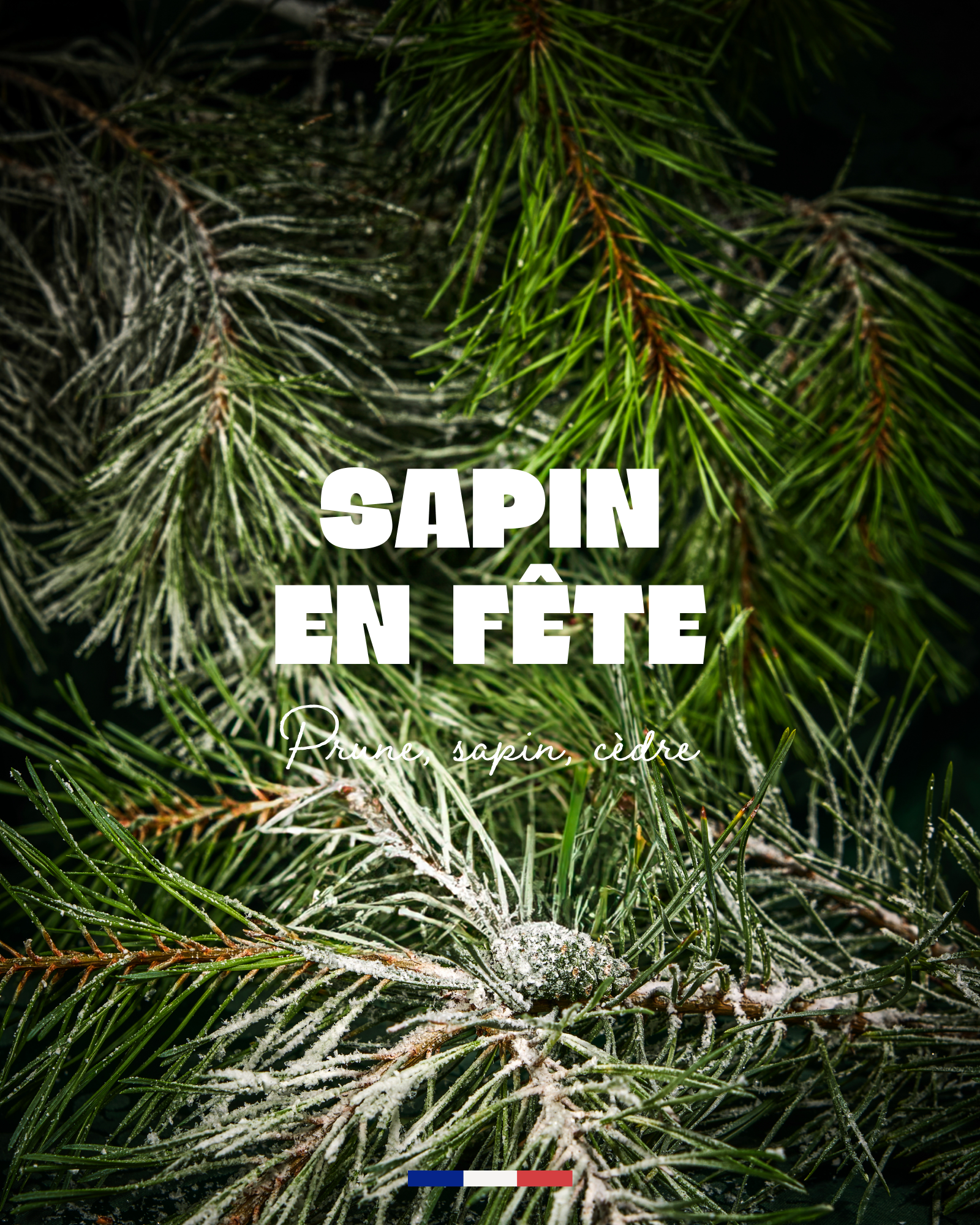 Bougie Sapin en Fête