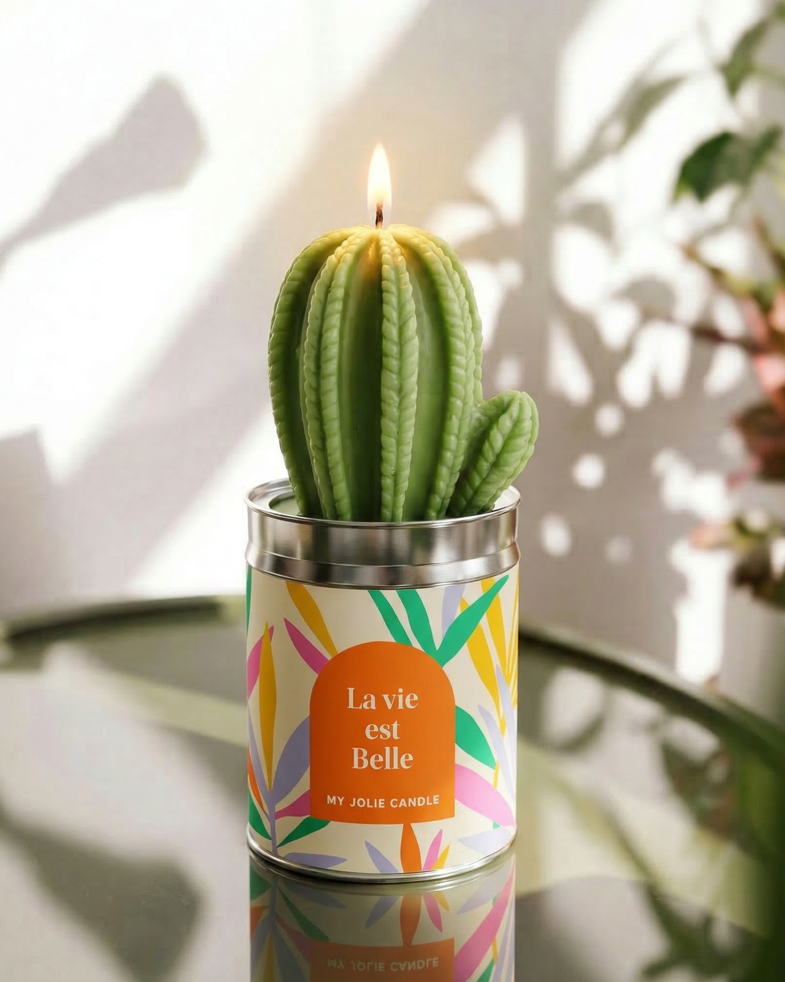 Bougie Cactus - La vie est belle