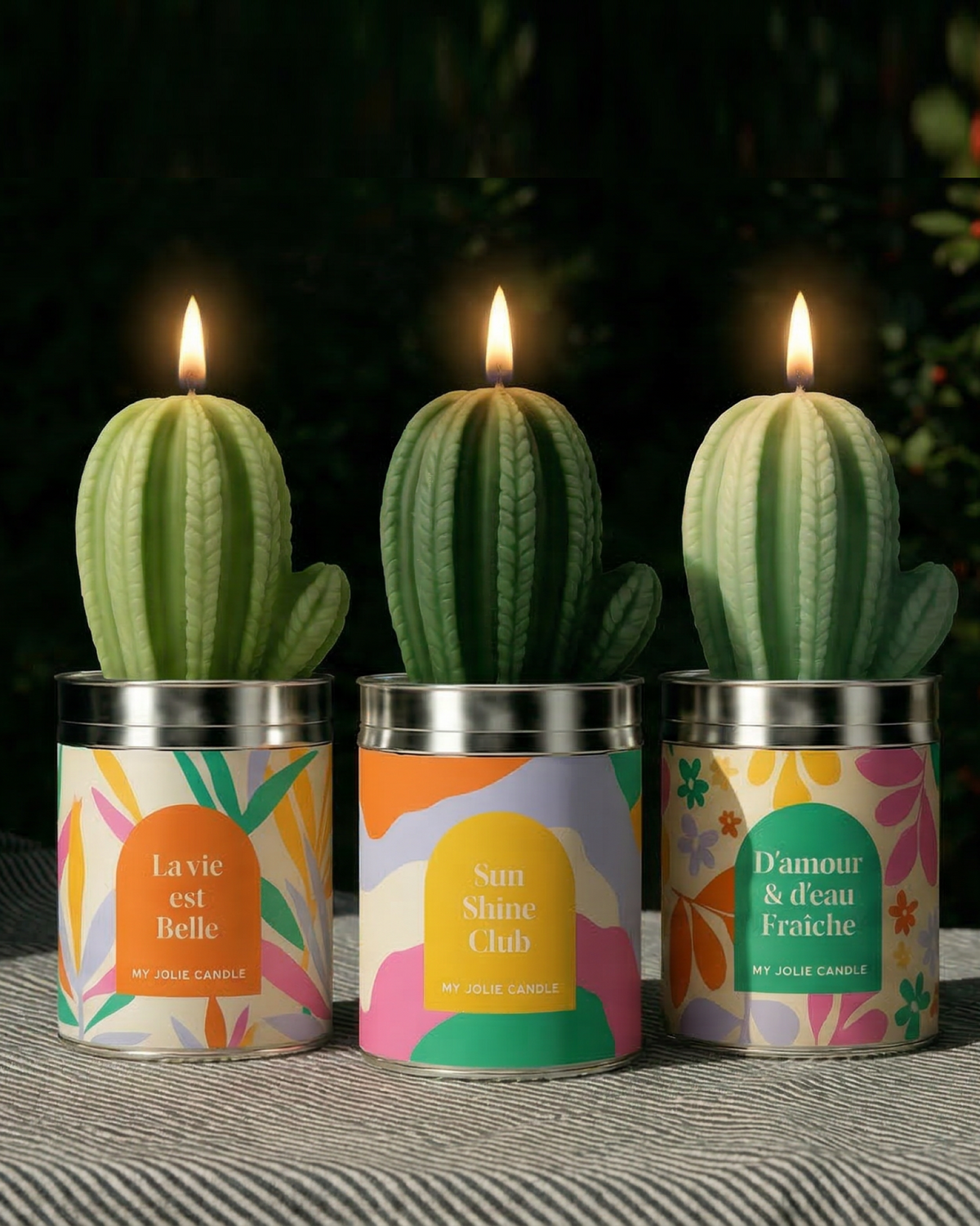 Bougies Cactus