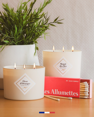 Duo grandes bougies parfumées