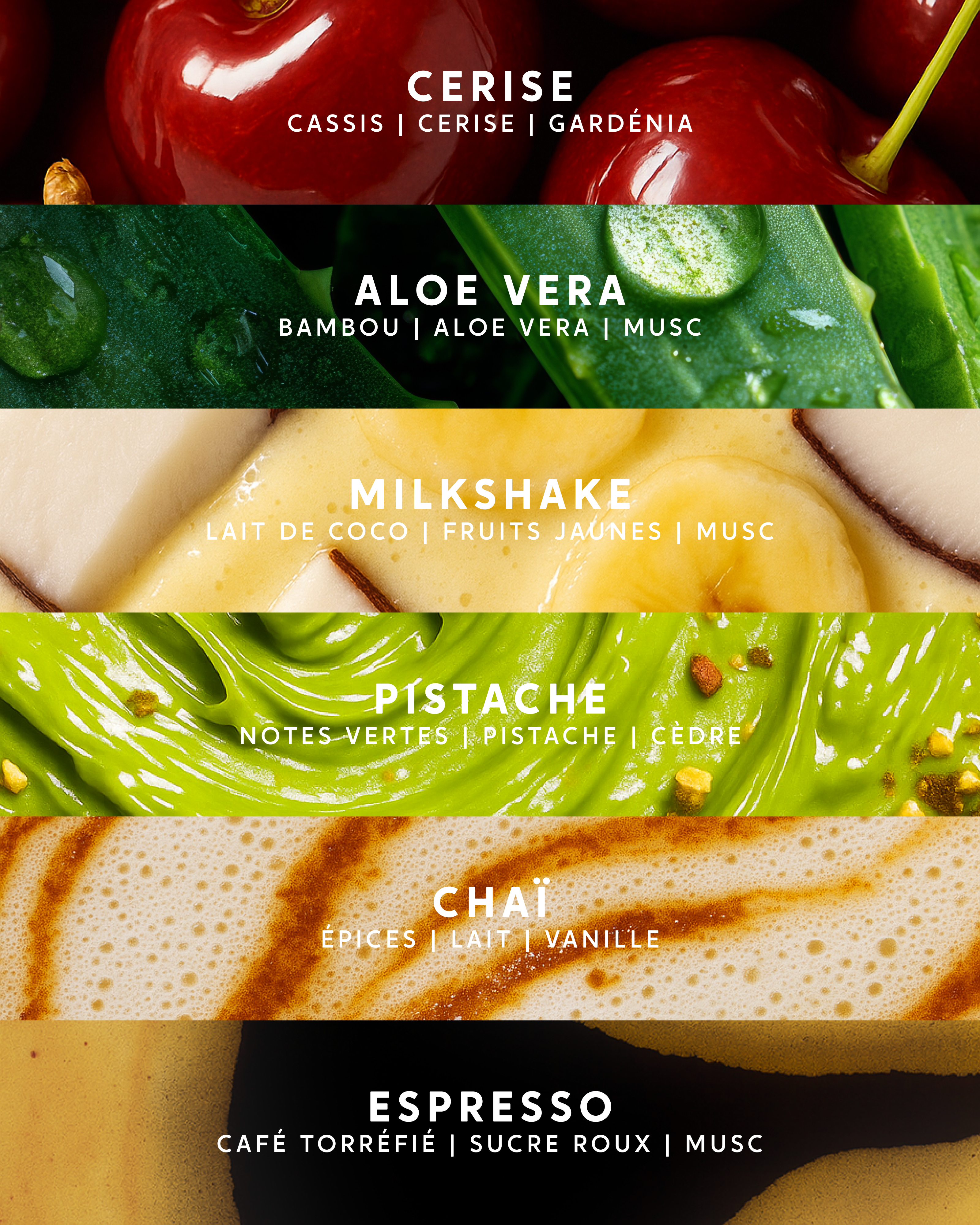 Bougies parfumées "Les Trendy"