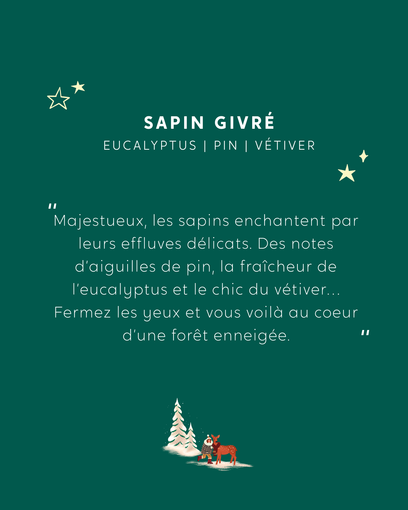 Bougie Sapin Givré + capot offert