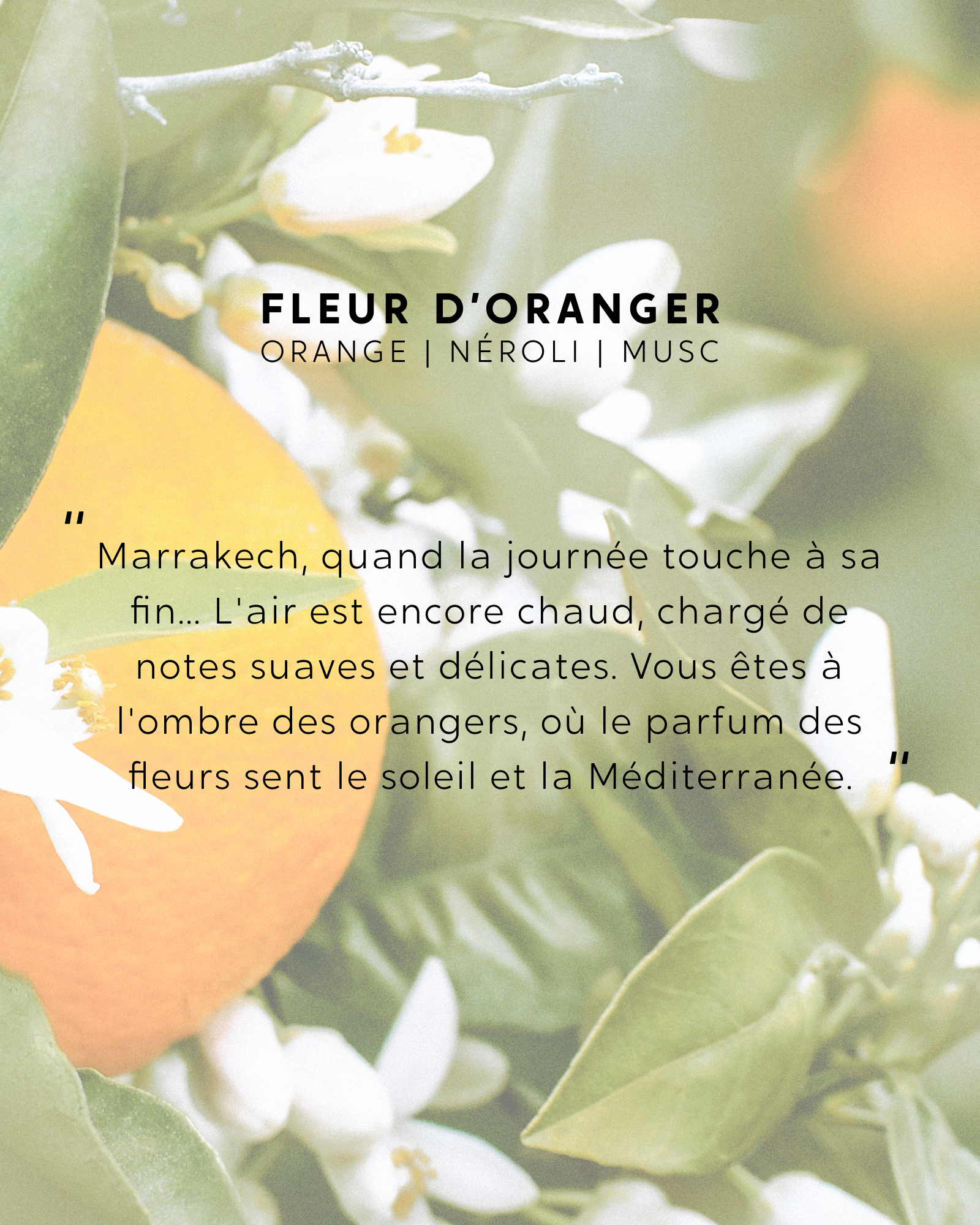 Petite Bougie Fleur d'Oranger