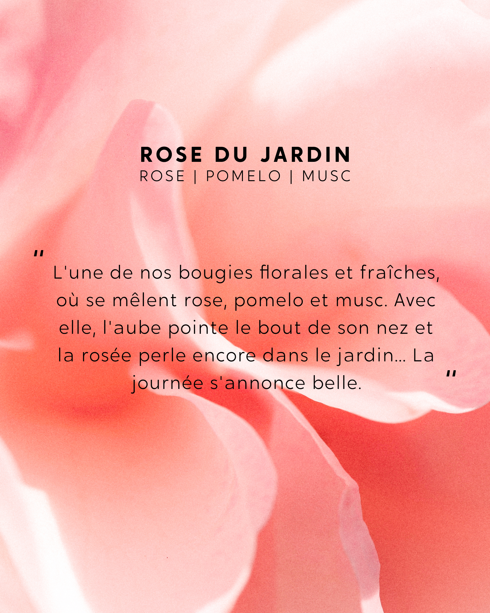 Petite Bougie Rose du Jardin