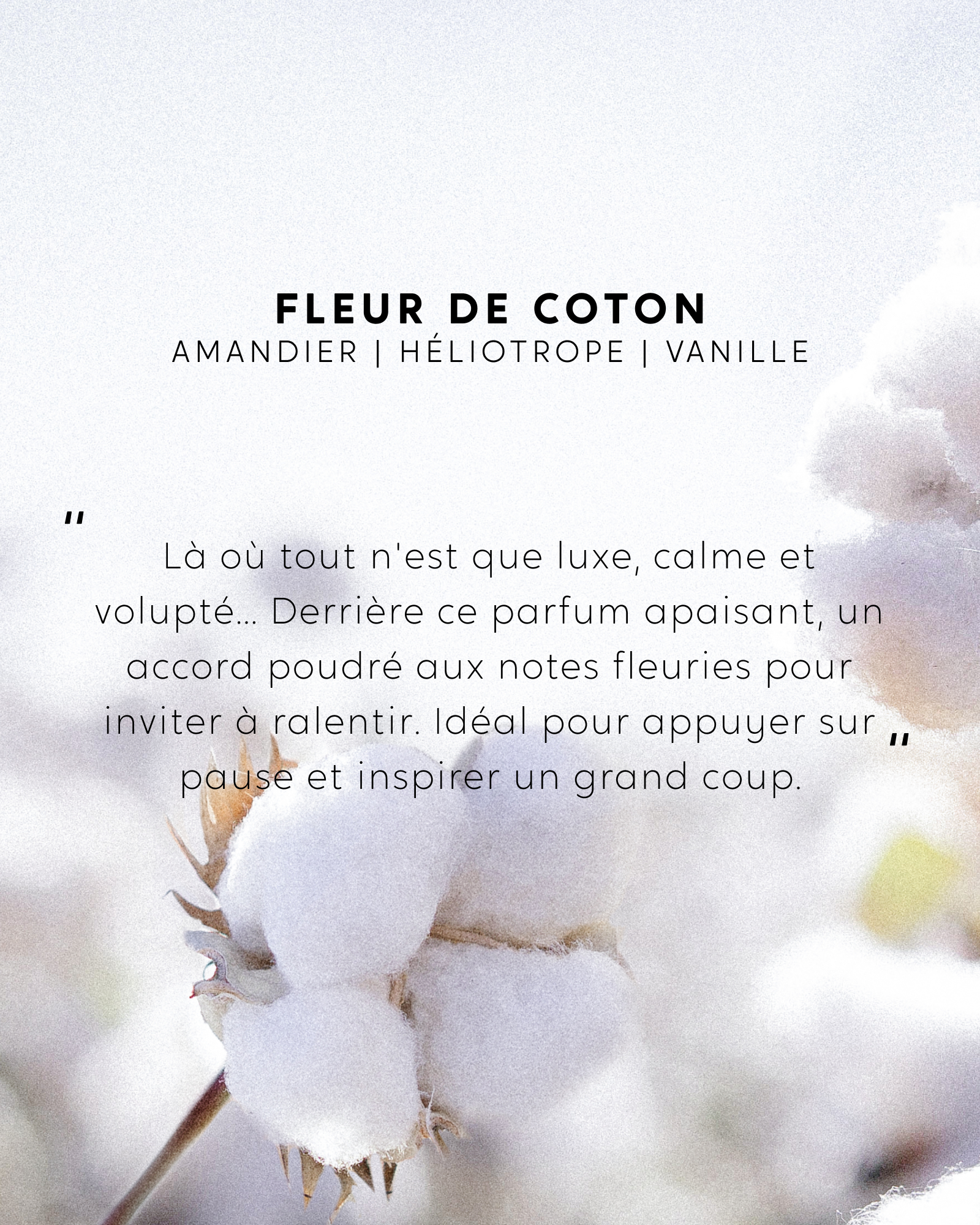 Petite Bougie Fleur de Coton