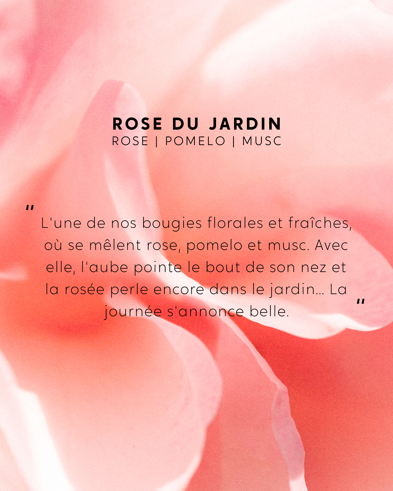 Bougie Rose du Jardin