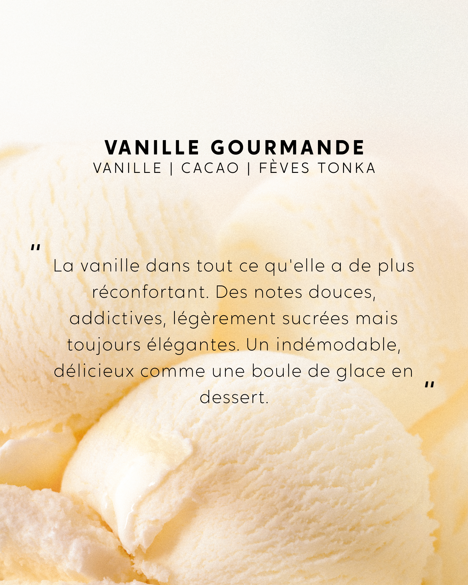 Bougie Vanille Gourmande