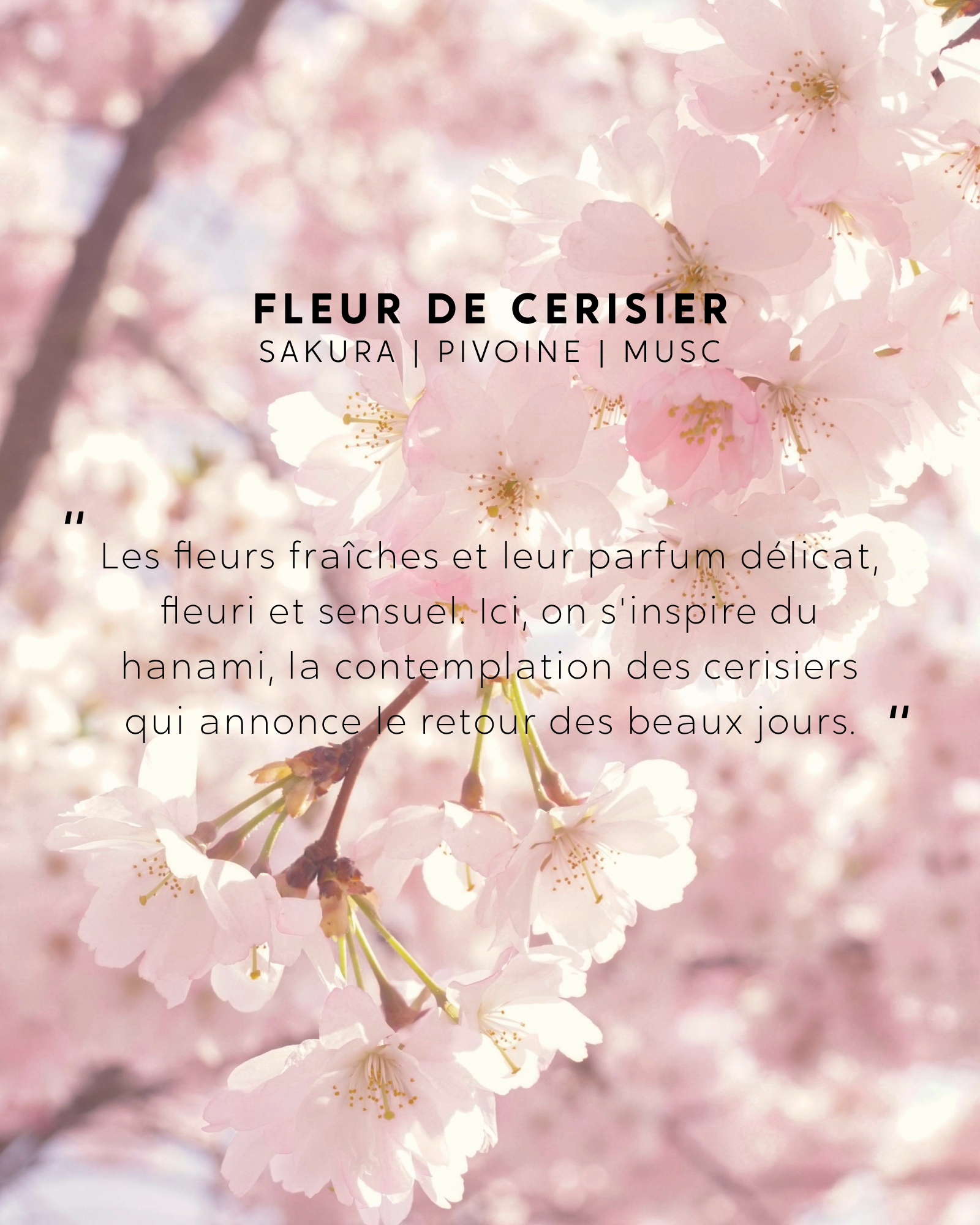 Bougie Bijou  Fleur de Cerisier